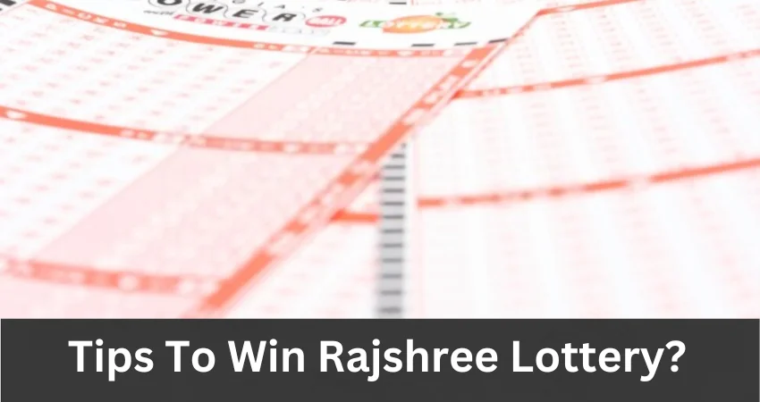 how to win the rajshree lottery easily